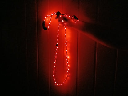 🔴 GlowDog LED Hundebånd – Se og bli sett 🌙🐕