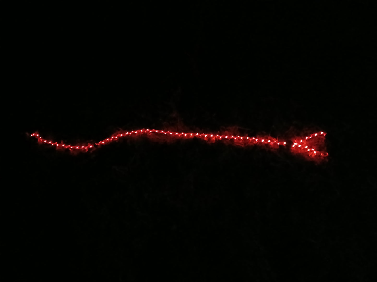 🔴 GlowDog LED Hundebånd – Se og bli sett 🌙🐕