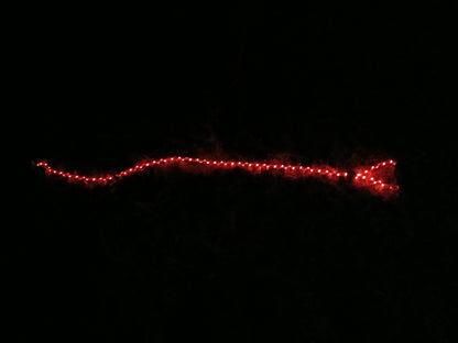 🔴 GlowDog LED Hundebånd – Se og bli sett 🌙🐕