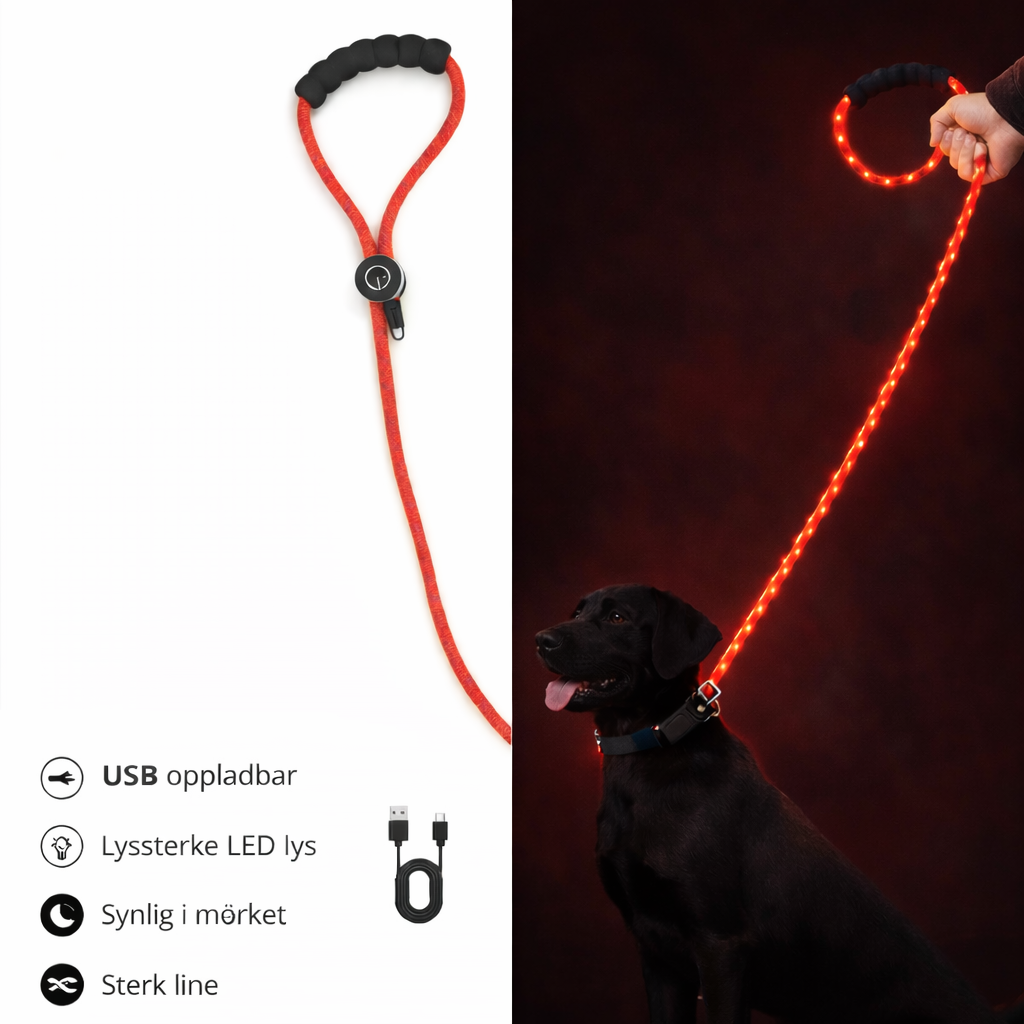 🔴 GlowDog LED Hundebånd – Se og bli sett 🌙🐕