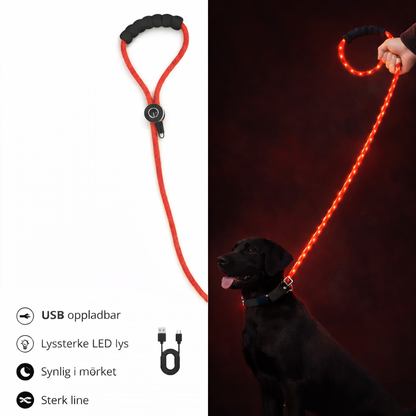 🔴 GlowDog LED Hundebånd – Se og bli sett 🌙🐕