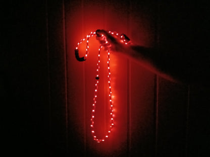 🔴 GlowDog LED Hundebånd – Se og bli sett 🌙🐕