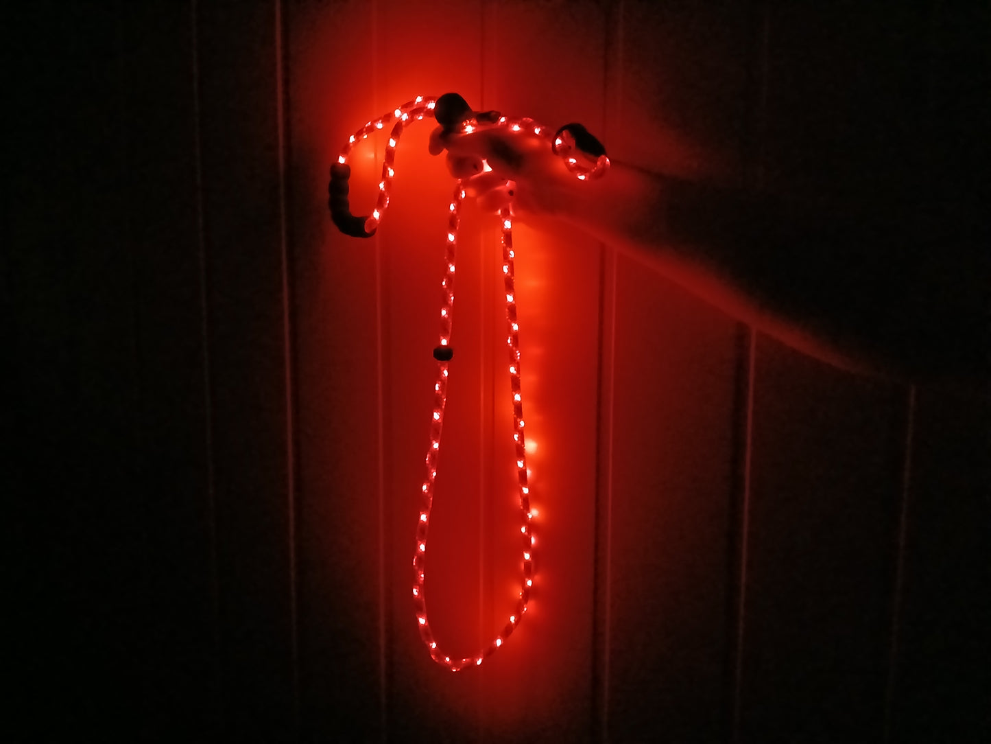 🔴 GlowDog LED Hundebånd – Se og bli sett 🌙🐕