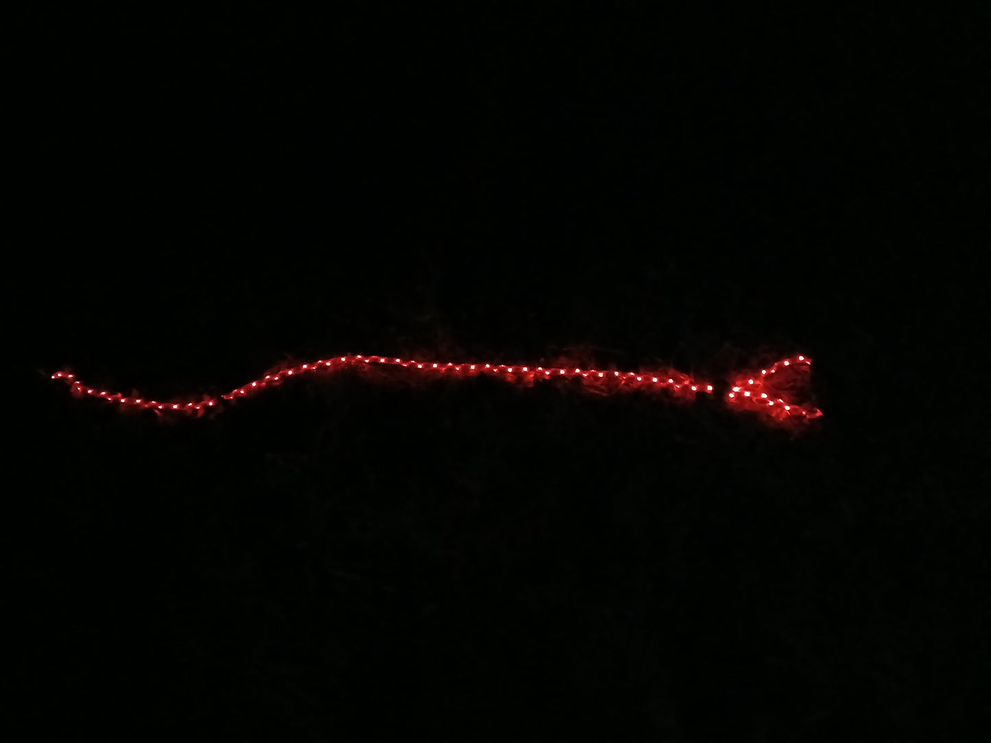 🔴 GlowDog LED Hundebånd – Se og bli sett 🌙🐕