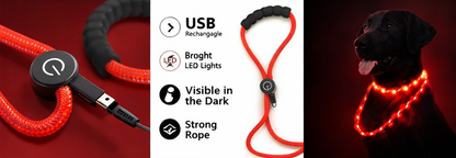 🔴 GlowDog LED Hundebånd – Se og bli sett 🌙🐕