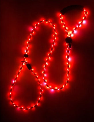 🔴 GlowDog LED Hundebånd – Se og bli sett 🌙🐕