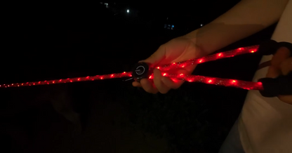 🔴 GlowDog LED Hundebånd – Se og bli sett 🌙🐕