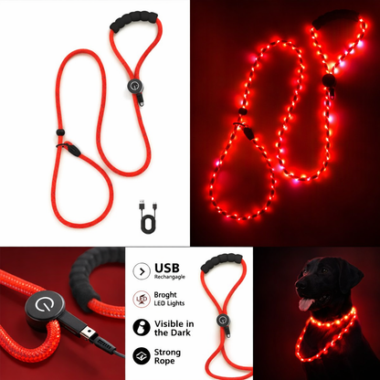 🔴 GlowDog LED Hundebånd – Se og bli sett 🌙🐕