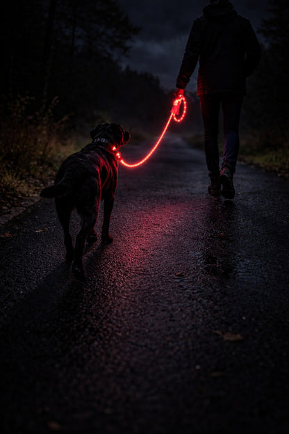 🔴 GlowDog LED Hundebånd – Se og bli sett 🌙🐕