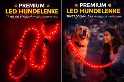 🔴 GlowDog LED Hundebånd – Se og bli sett 🌙🐕