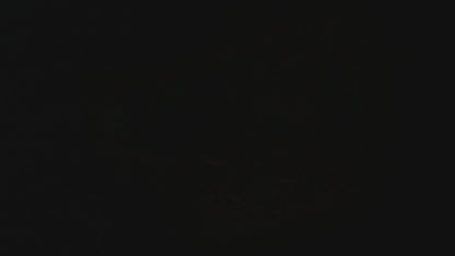 🔴 GlowDog LED Hundebånd – Se og bli sett 🌙🐕